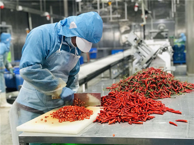 延长产业链,蔬菜“涨身价”!松江首个净菜加工基地正式投入运营